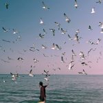 Masoud Mirzaei Photography