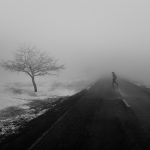 Masoud Mirzaei Photography