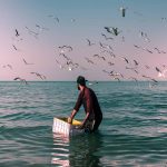 Masoud Mirzaei Photography